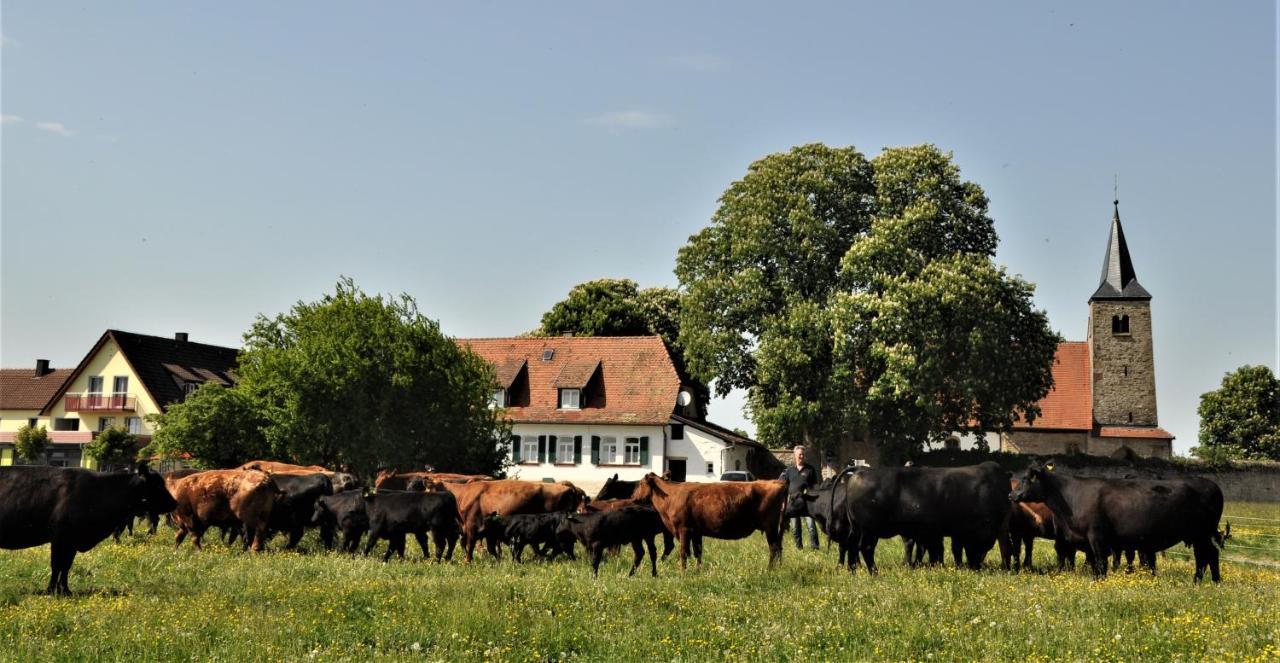Schaefer'S Ferienhof Michaelsberg グンデルスハイム エクステリア 写真