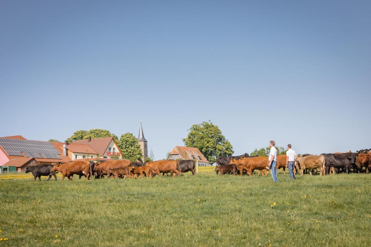 Schaefer'S Ferienhof Michaelsberg グンデルスハイム エクステリア 写真
