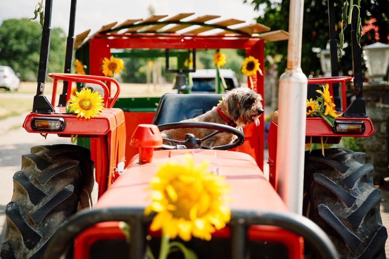 Schaefer'S Ferienhof Michaelsberg グンデルスハイム エクステリア 写真